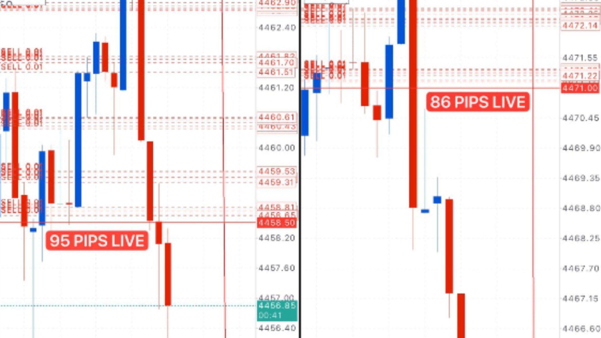 Along Gold Scalper