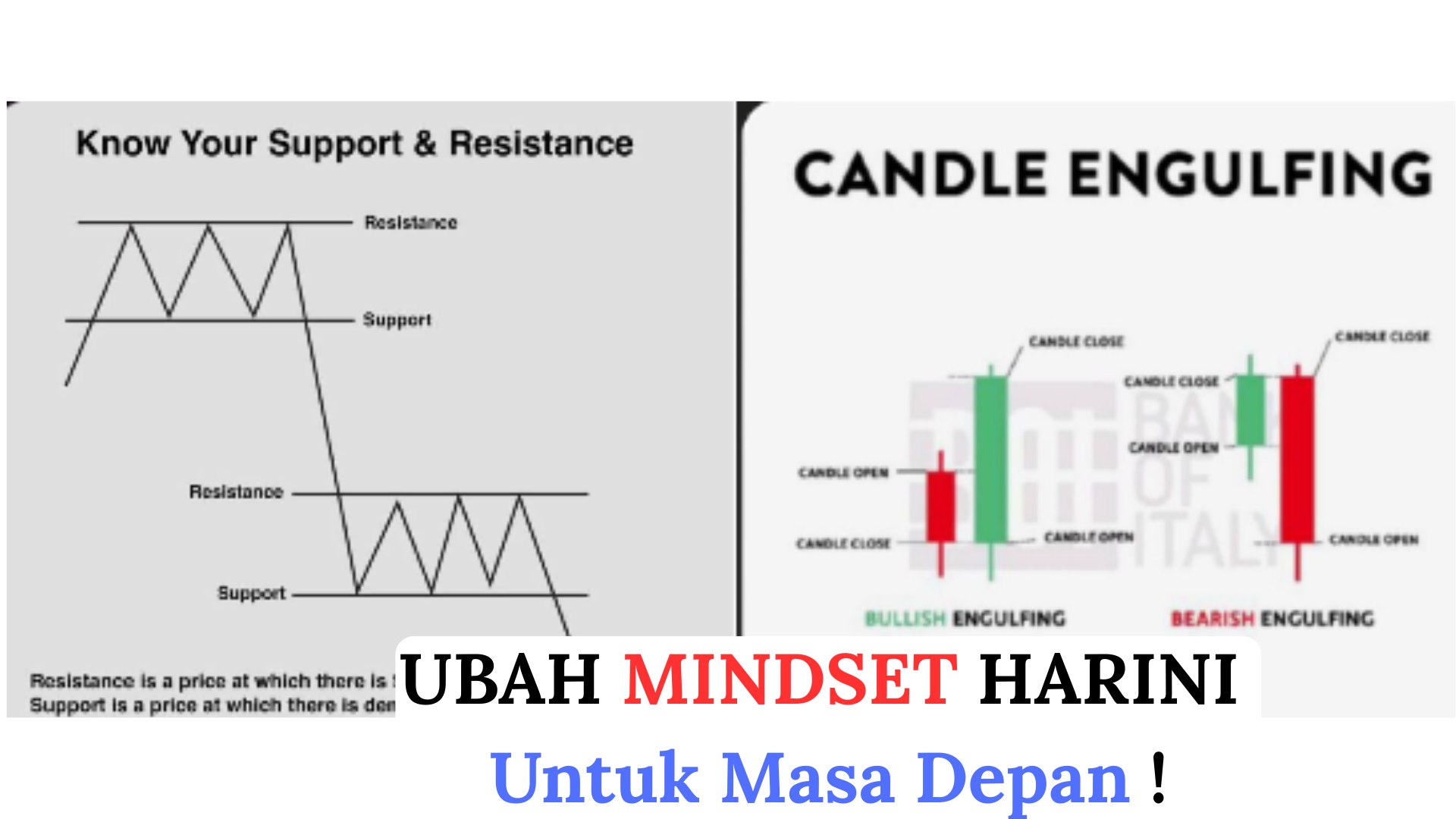 Along Gold Scalper