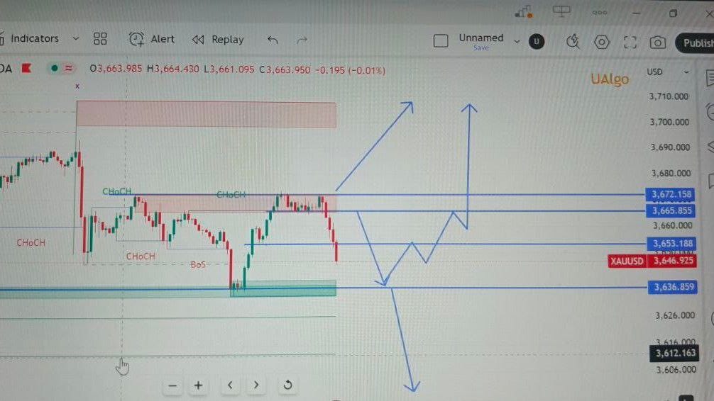 NAZAR TRADING ZONE