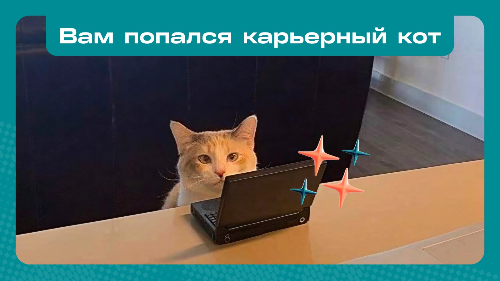 Карьера в СИБУРе. Новый