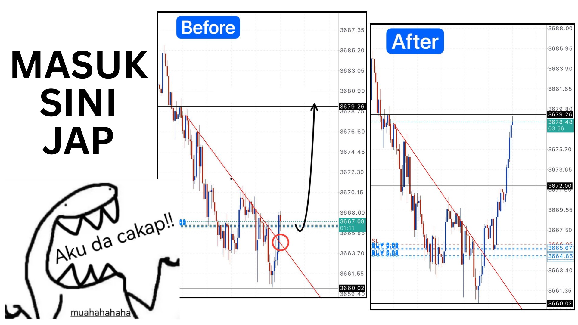 Along Gold Scalper
