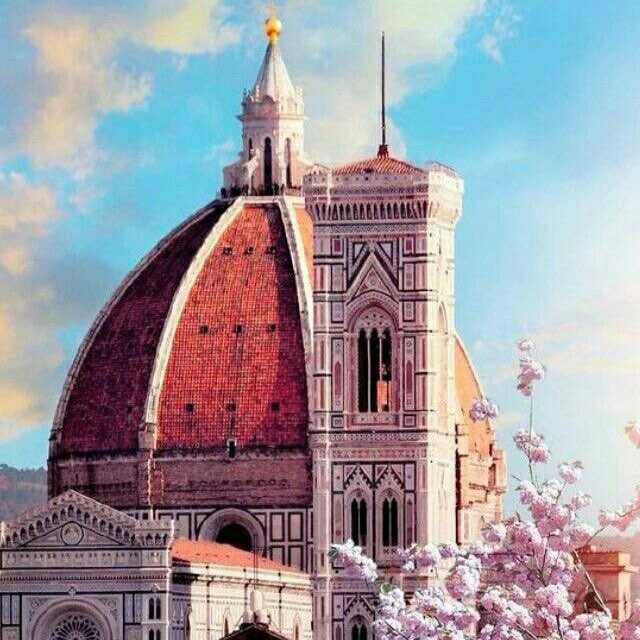 @mimmo_academy