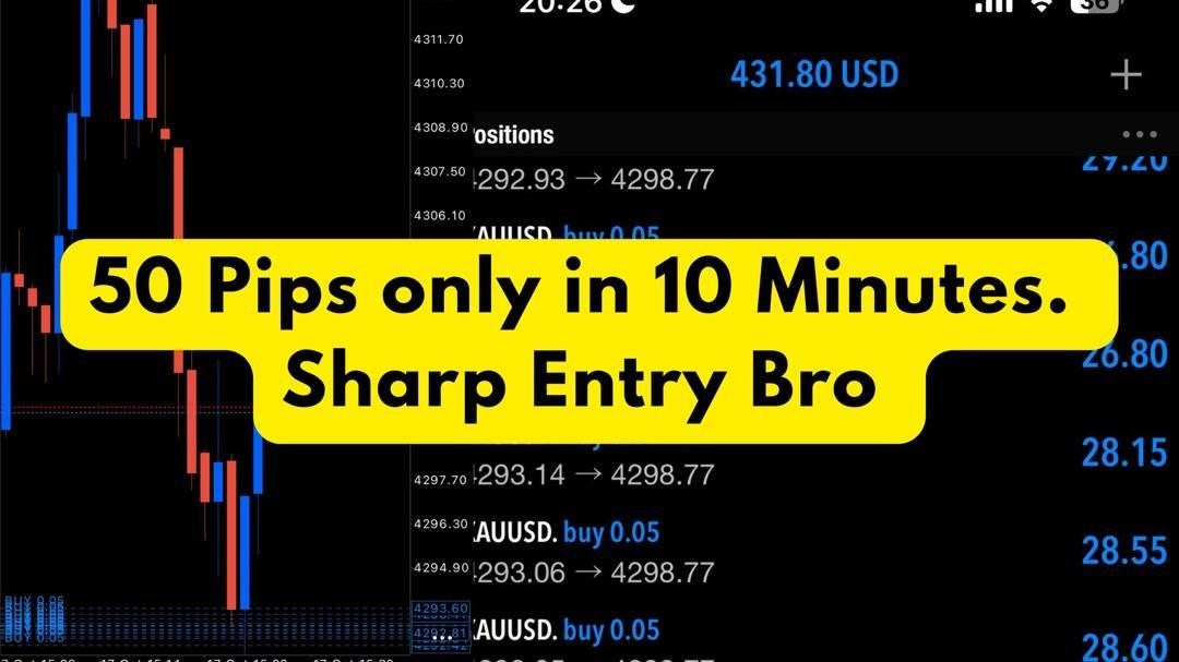 Pips empire trades