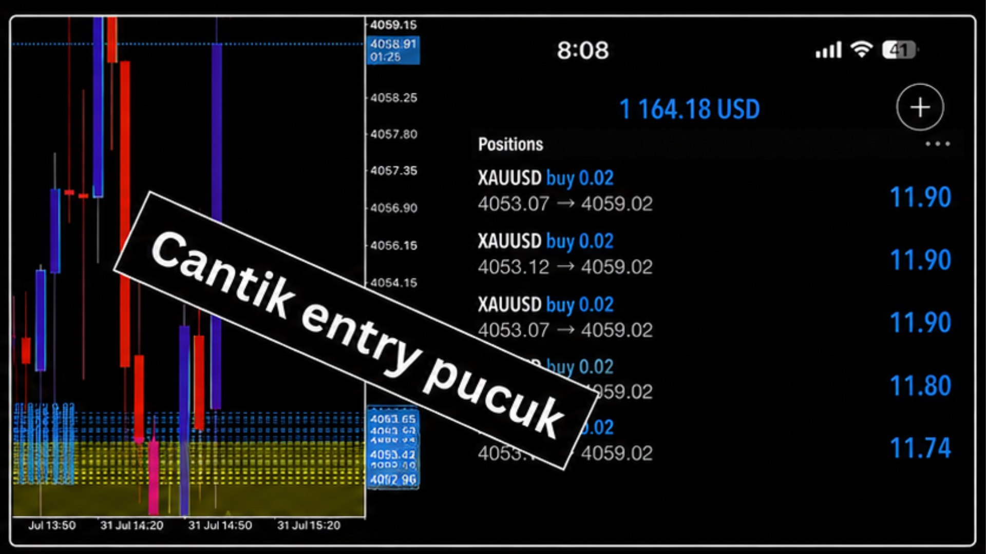 Along Gold Scalper