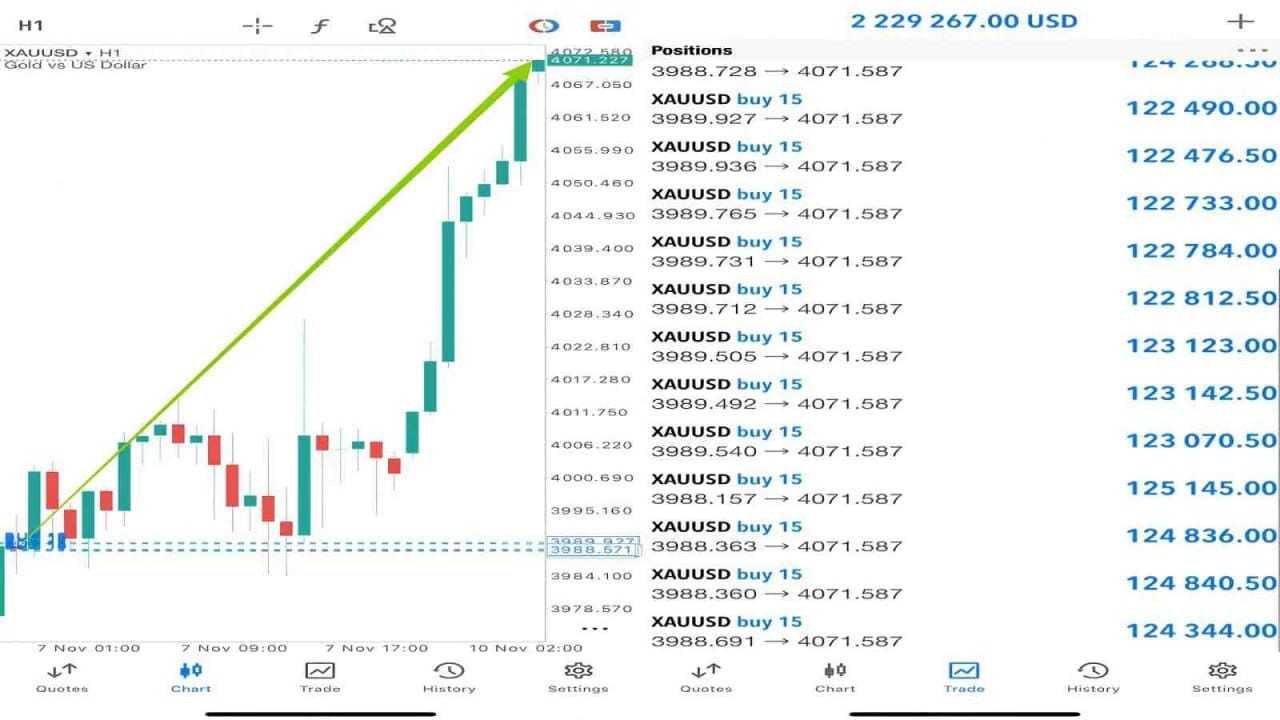 FRESH FOREX