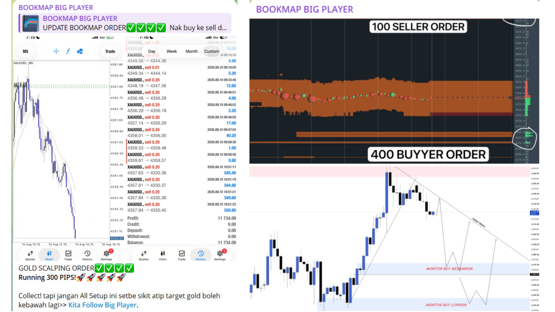 BOOKMAP BIG PLAYER