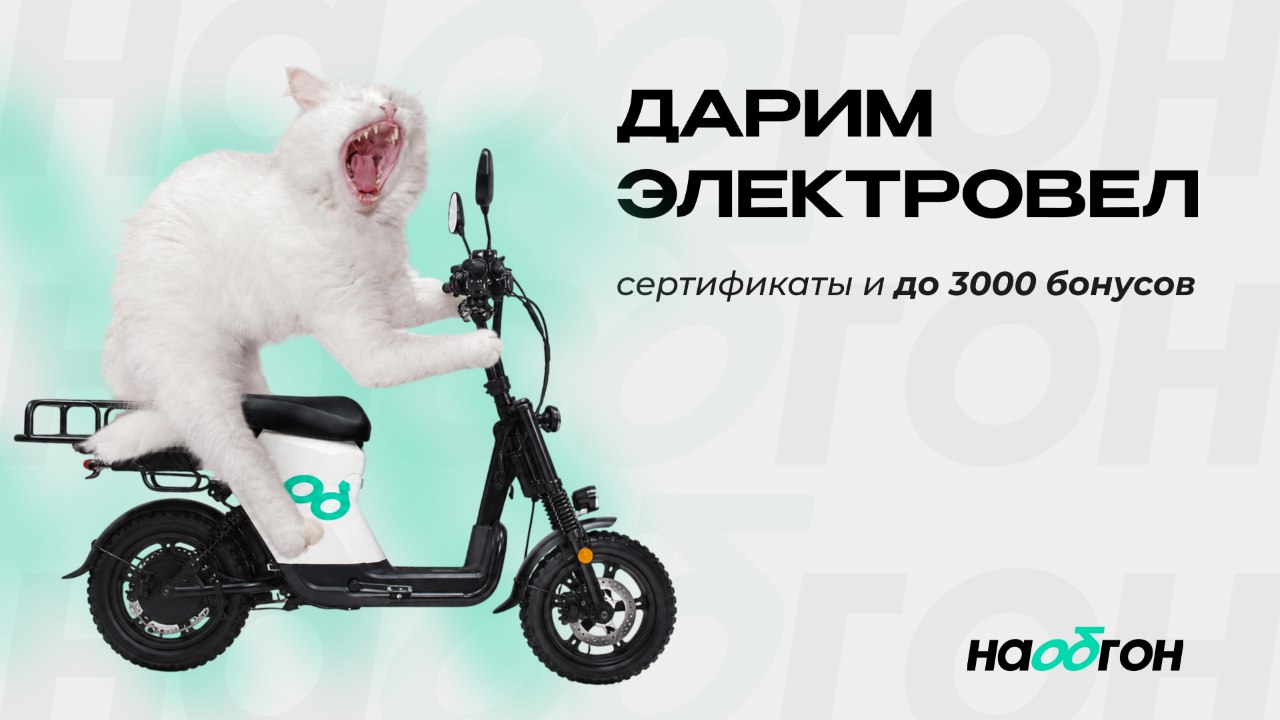 НАОБГОН | Аренда электровелосипедов