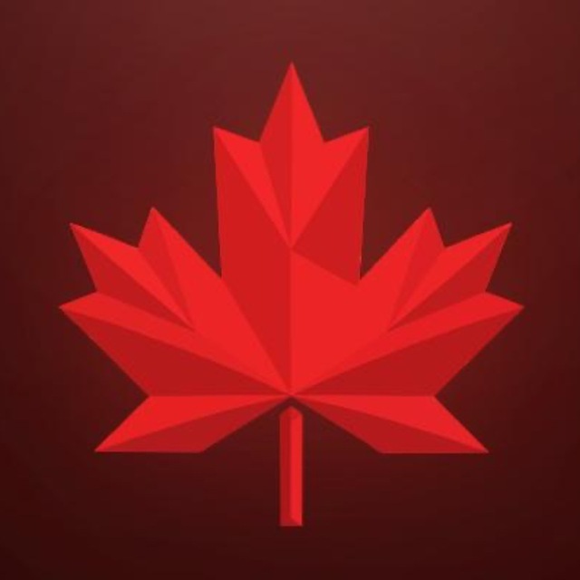 @vpn_ychbot