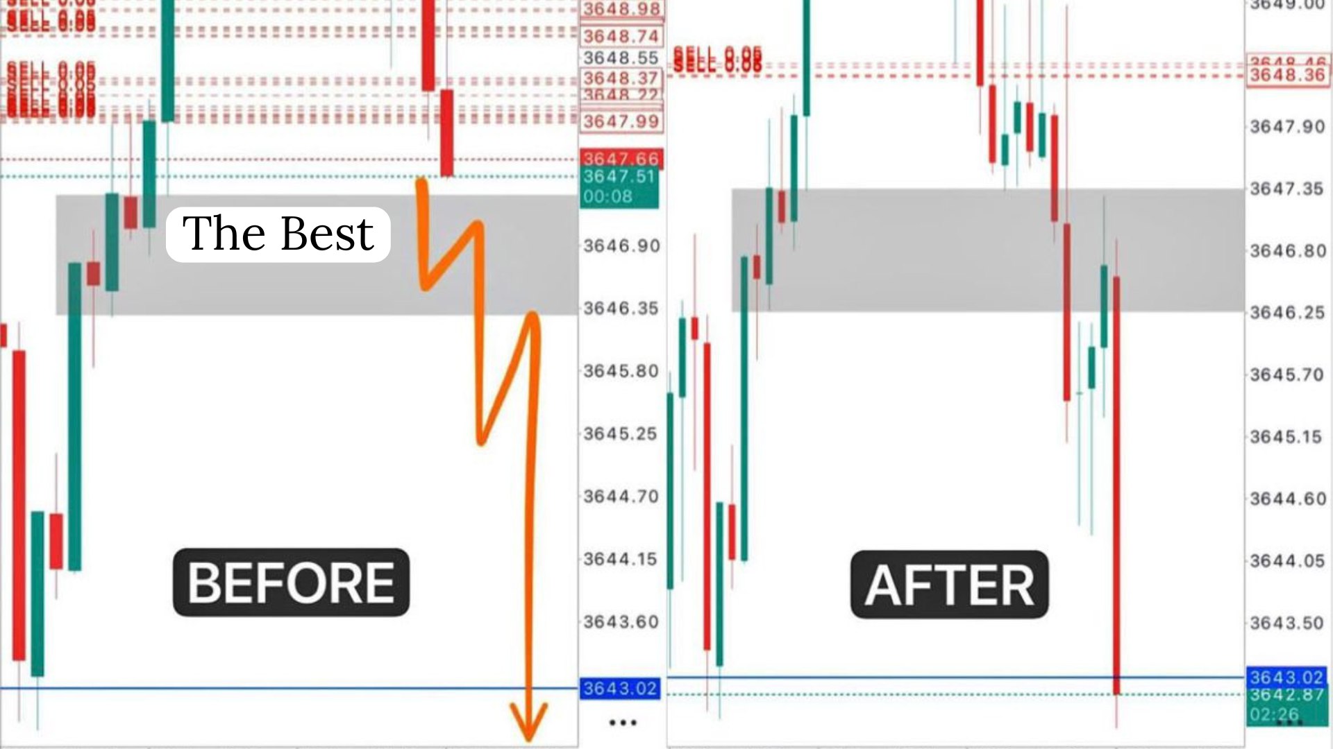 Along Gold Scalper