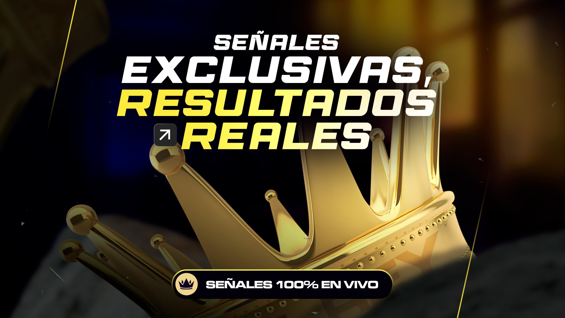 David Trader | 👑 Rey de Quotex