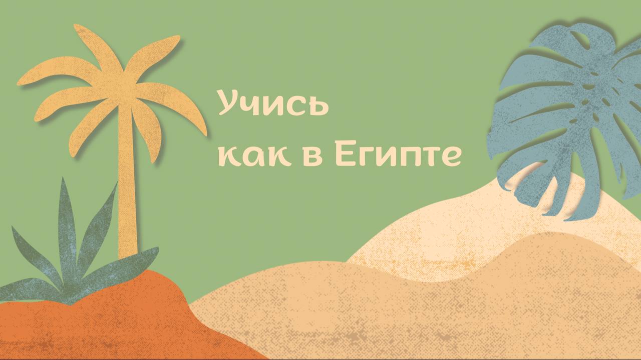 Онлайн марказ MISR