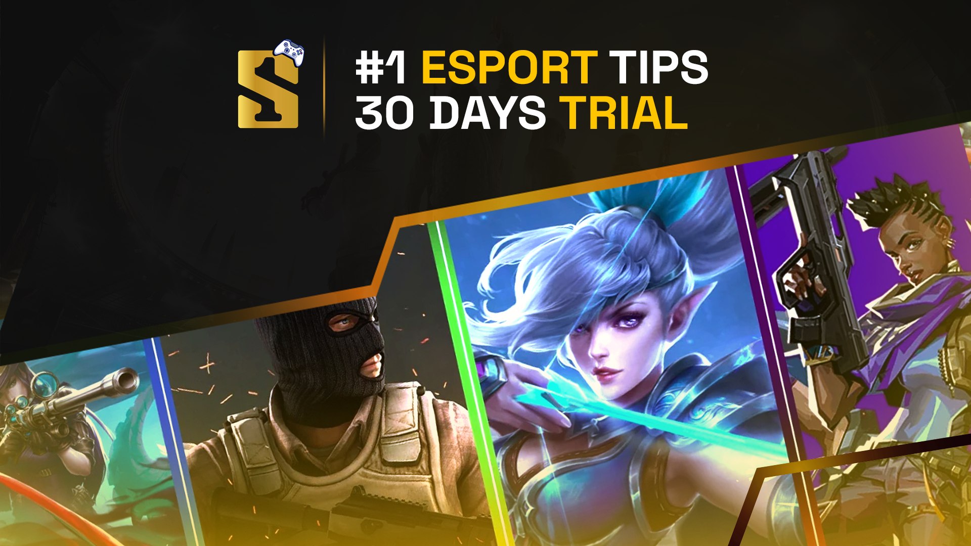 Sector1 | Esport 🎮