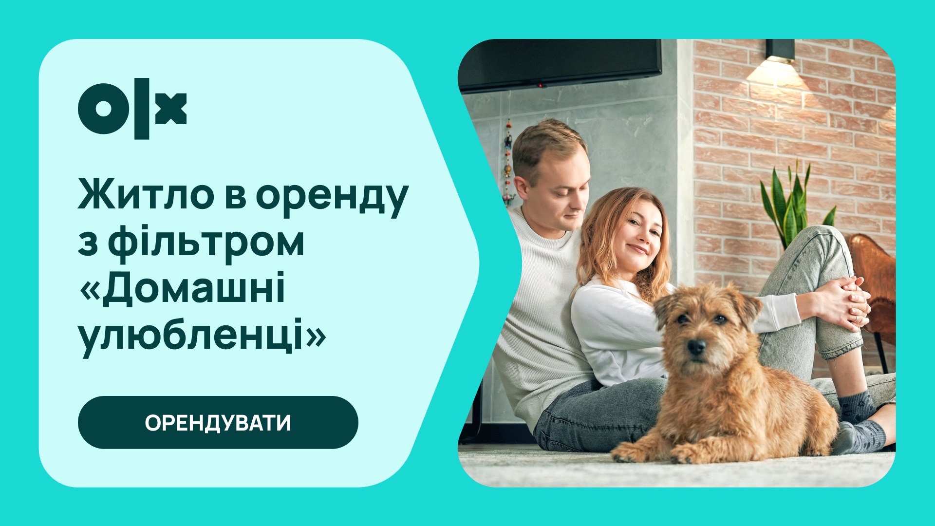 OLX Нерухомість
