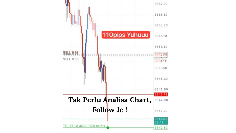 Along Gold Scalper