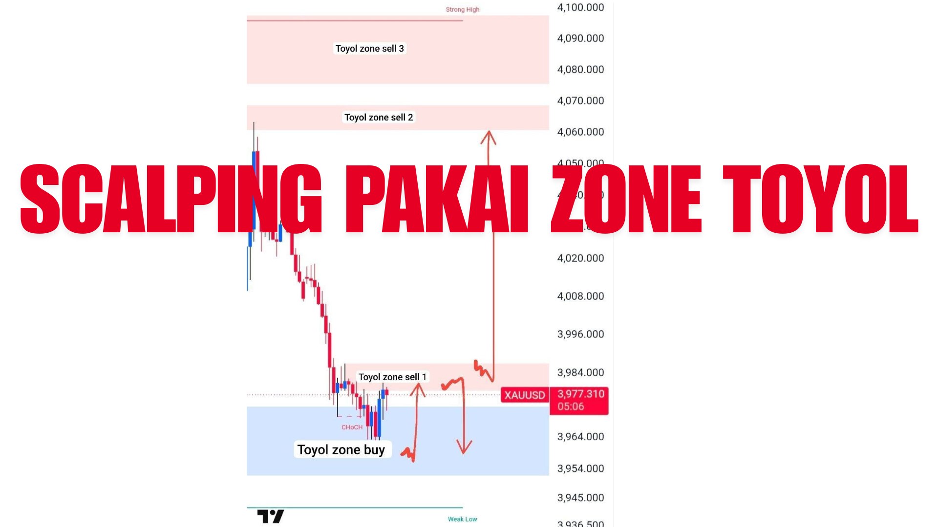 Arep Trader Flip