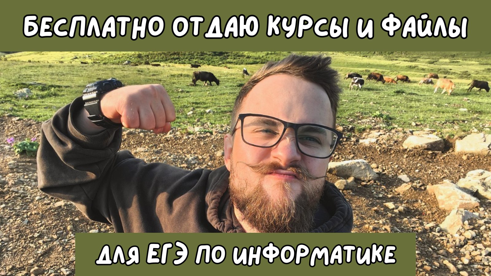 информатика и котики / ЕГЭ ОГЭ Стадикэтс