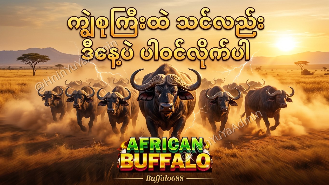 ကျွဲဂိမ်းအစစ် Buffalo688 ၊ကျွဲဘုရင် ၊ရှမ်းကိုးမီး၊ဘူကြီး