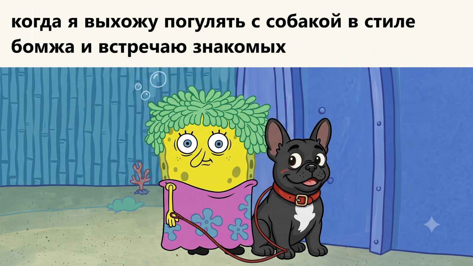Ветеринарные центры Dr.Hug