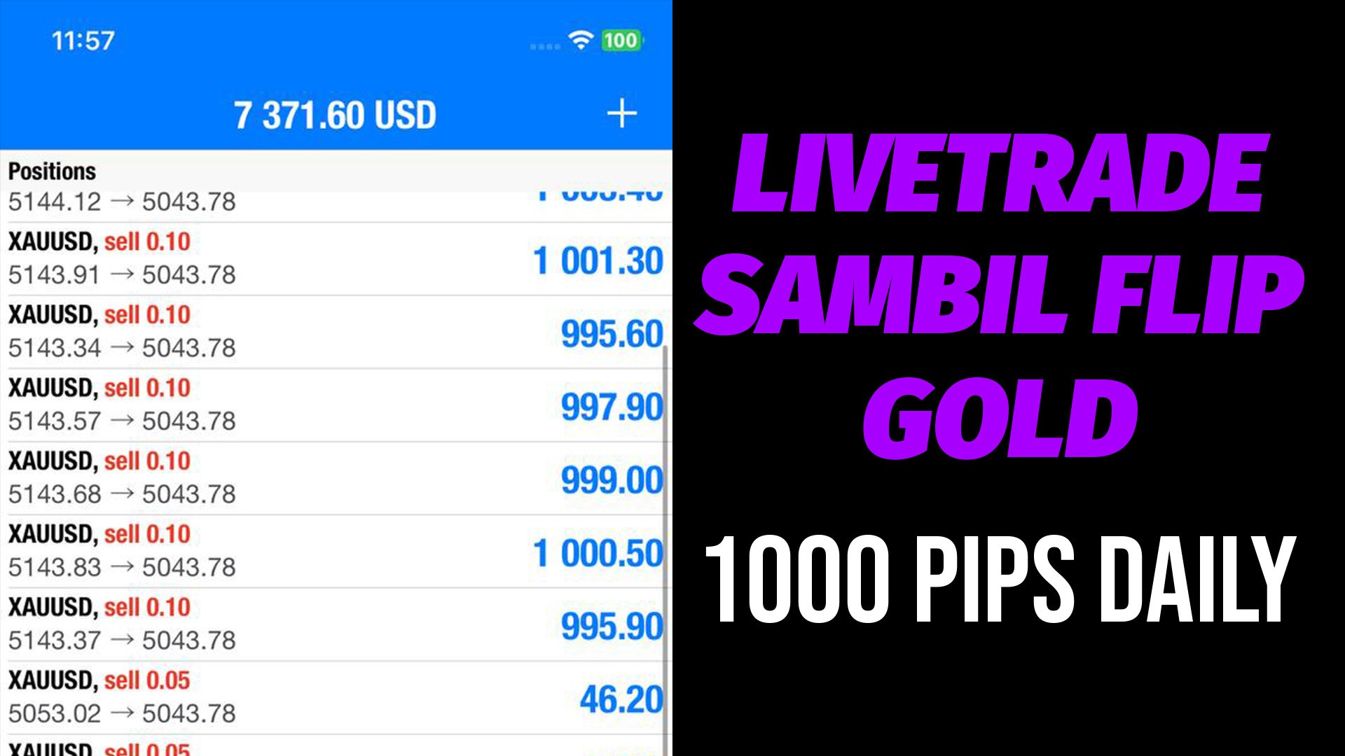 KILLERPIPS SCALPING ANEP