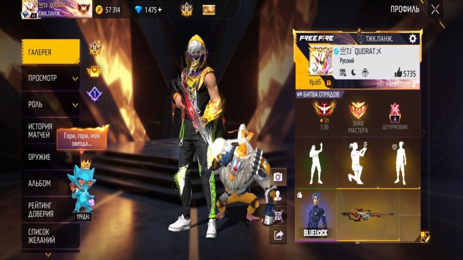 Free Fire Gamer