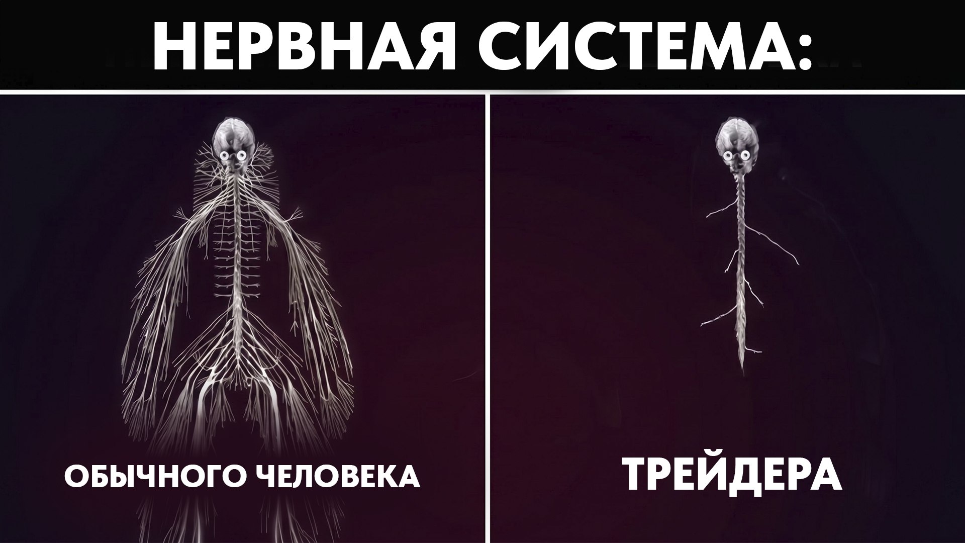 Роман Князев
