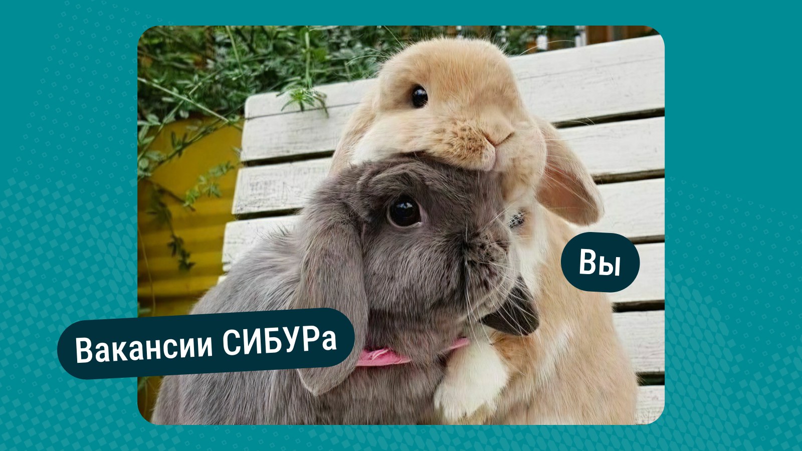 Карьера в СИБУРе. Новый