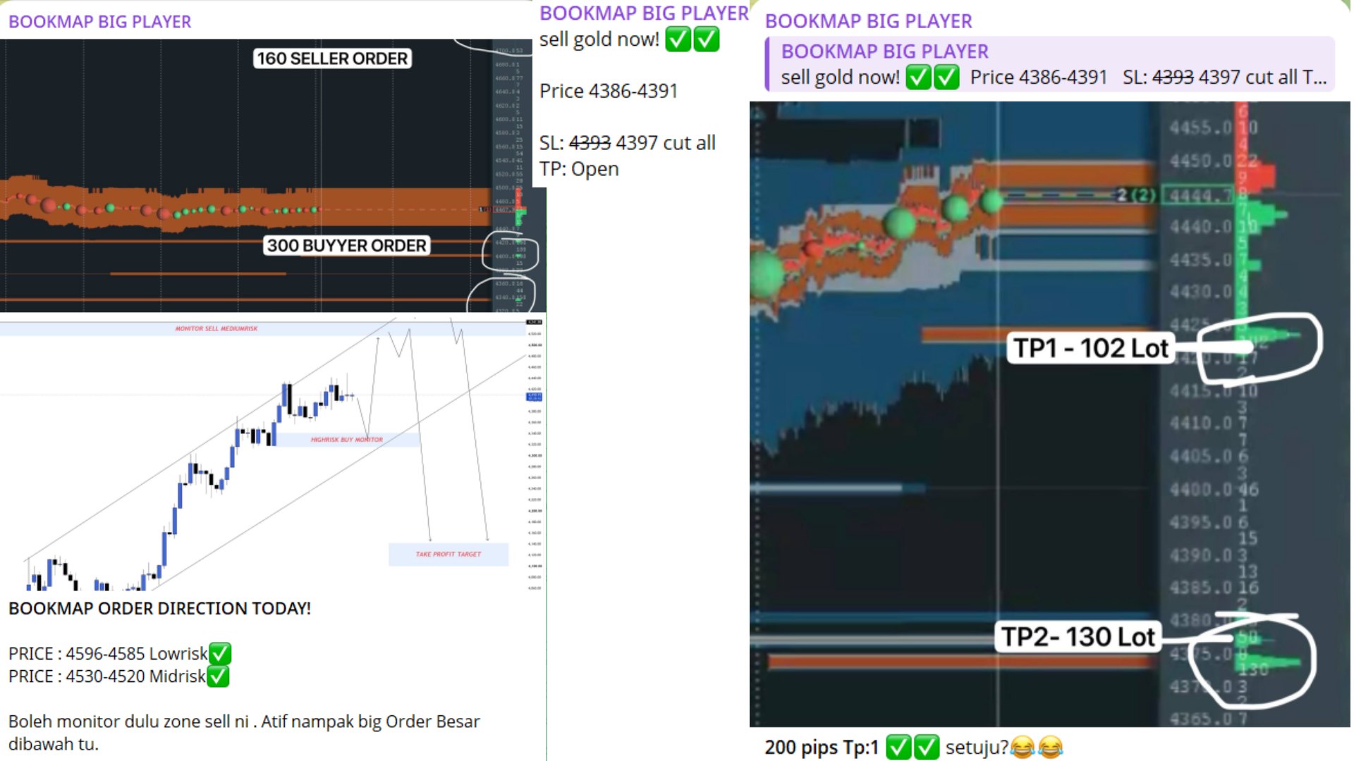 BOOKMAP BIG PLAYER