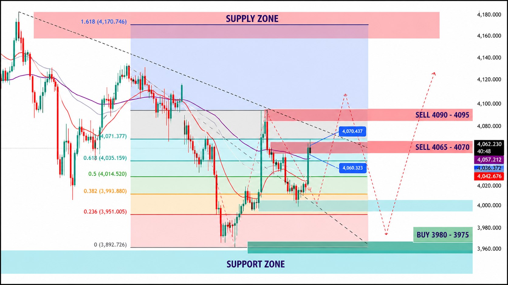Shool of Traders