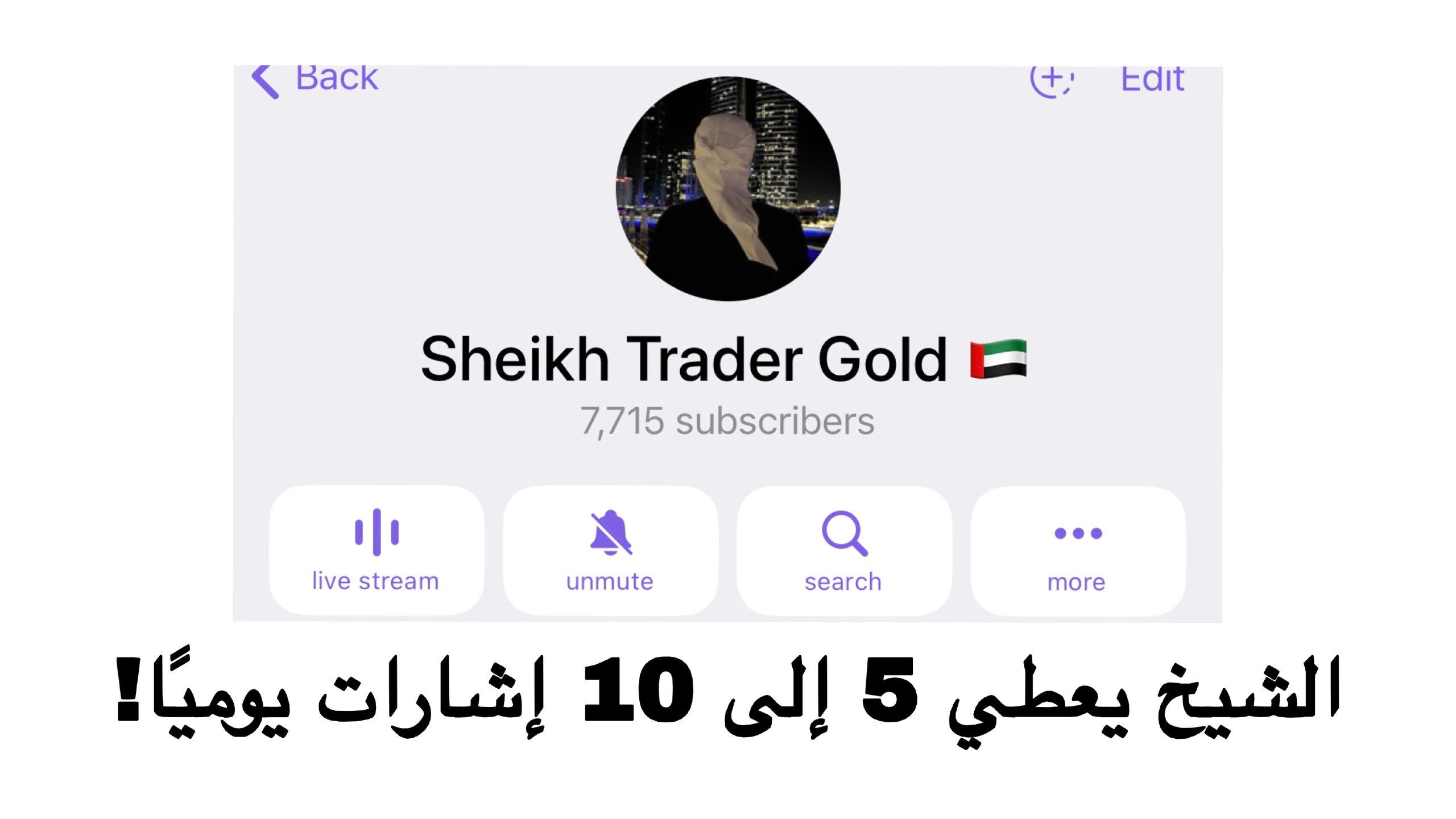 Sheikh Trader Gold 🇦🇪