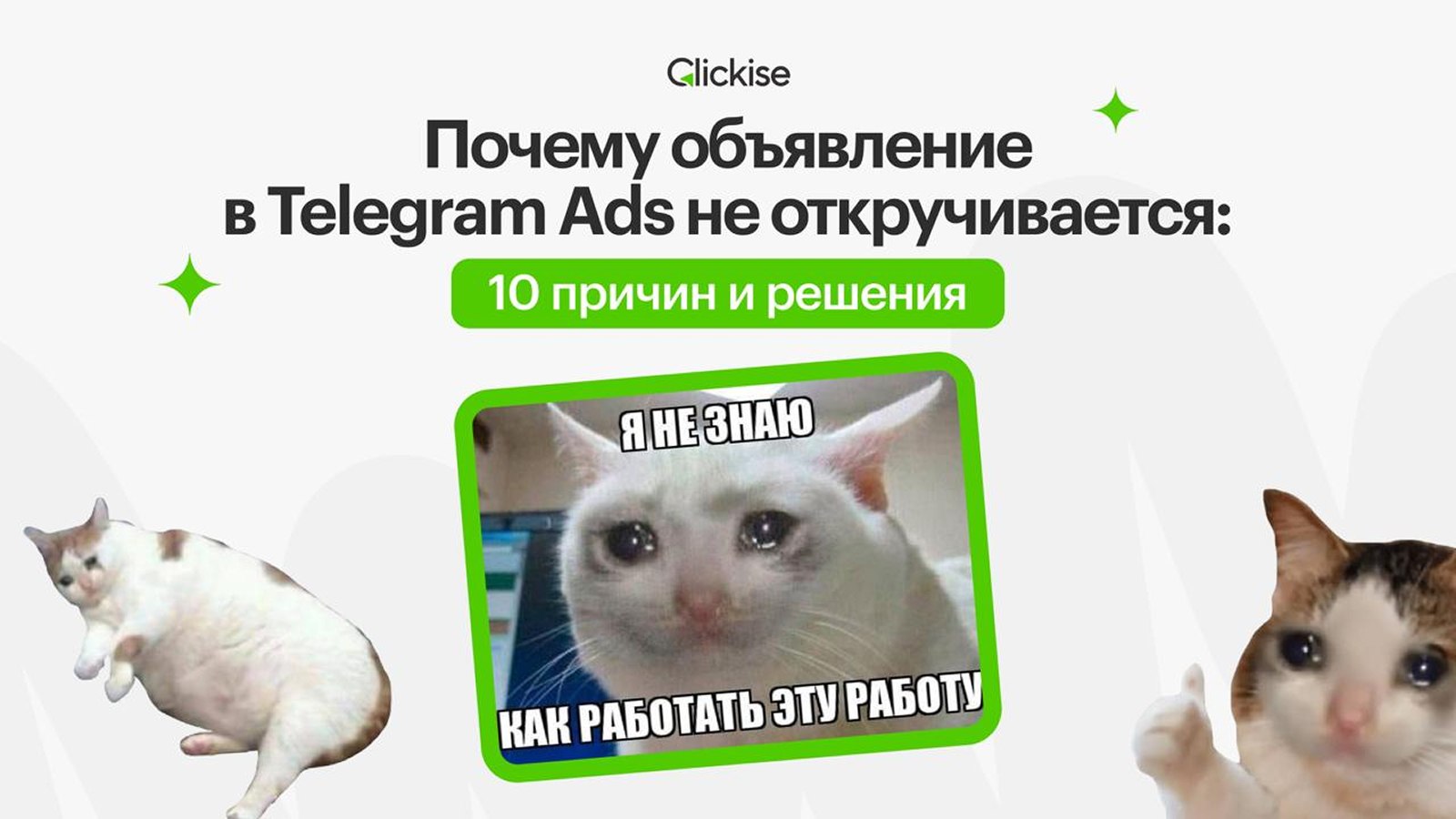 Clickise — говорим на языке Telegram Ads