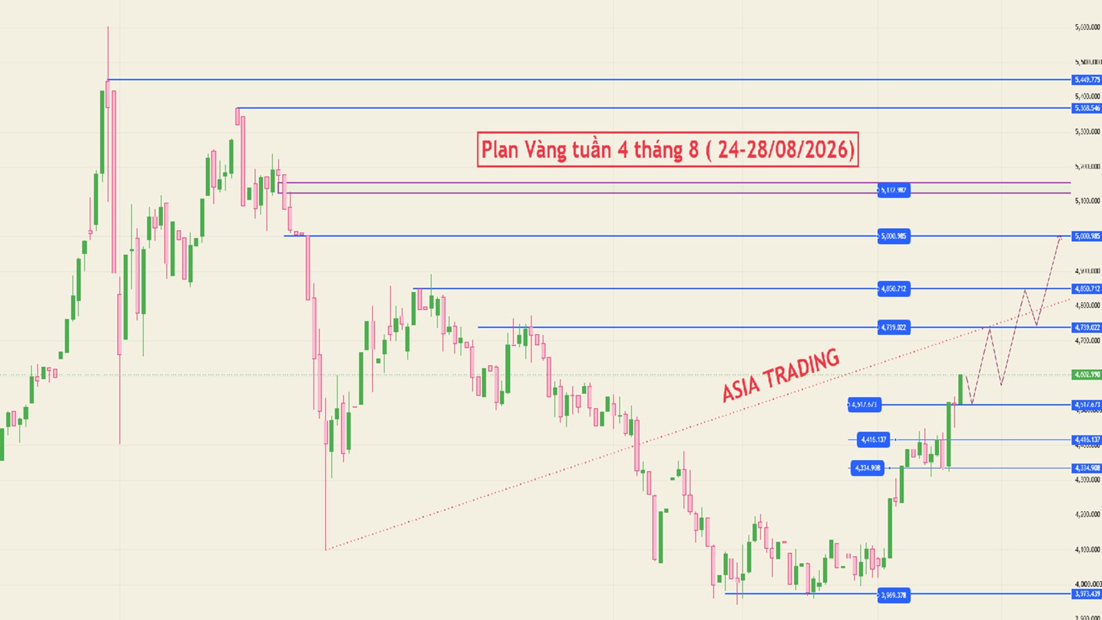 ASIA TRADING - Forex-Gold🇻🇳