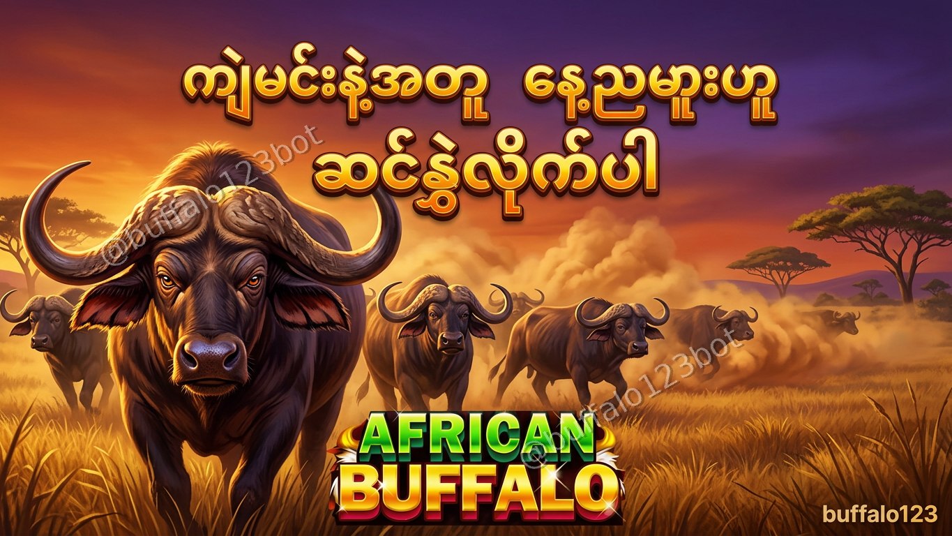ကျွဲဂိမ်း Buffalo123 Official