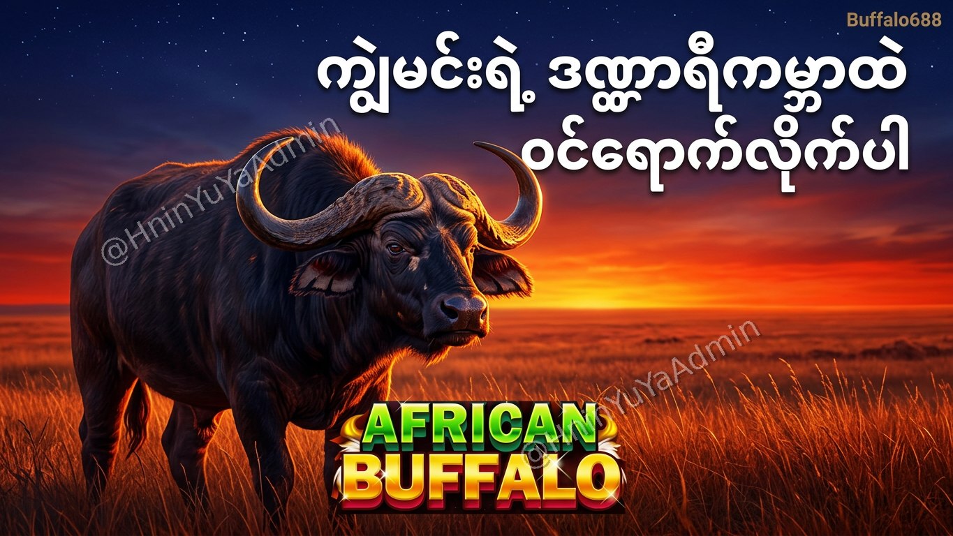 ကျွဲဂိမ်းအစစ် Buffalo688 ၊ကျွဲဘုရင် ၊ရှမ်းကိုးမီး၊ဘူကြီး