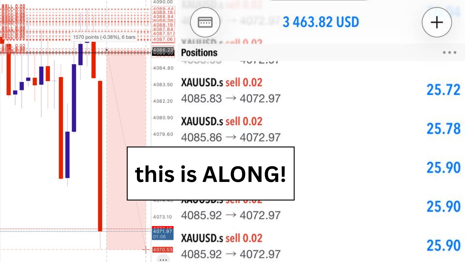 Along Gold Scalper