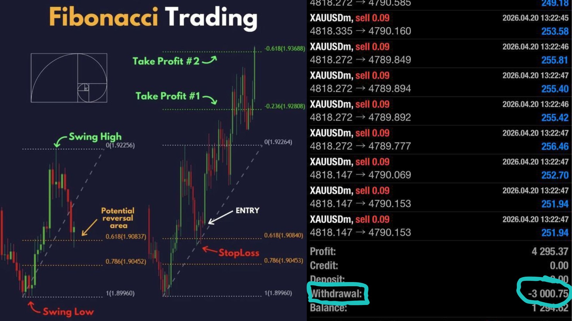Thomas Elliott Wave 📈