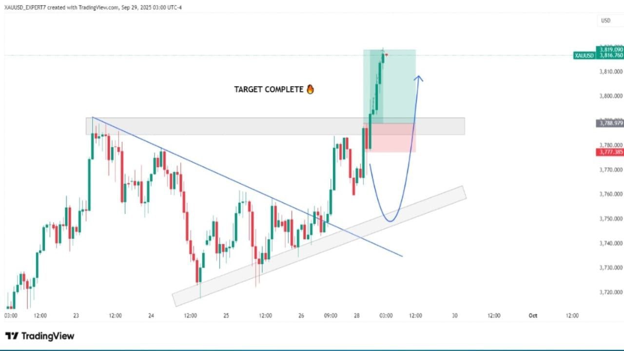 Pips empire trades