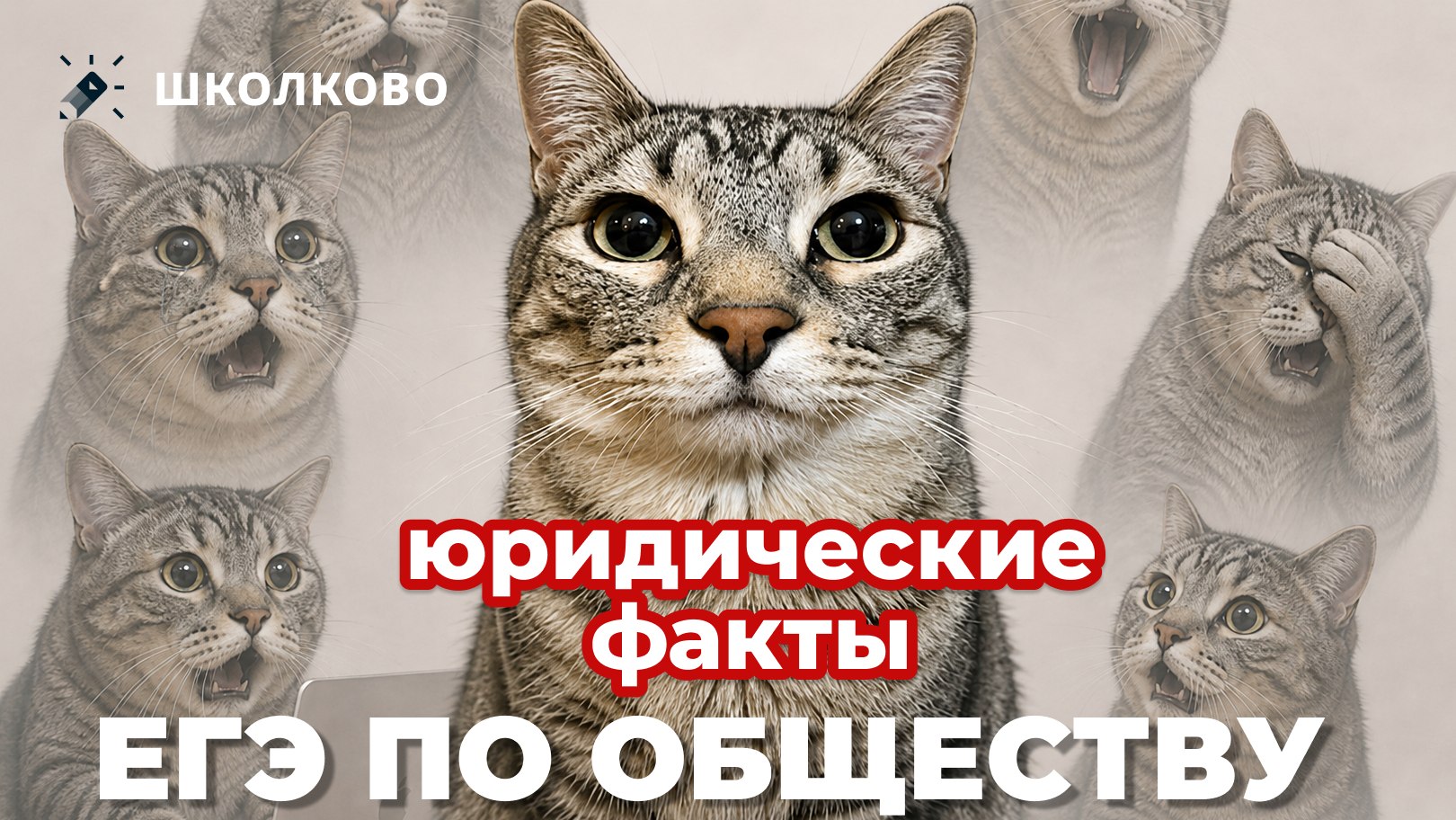 Егор Кант ЕГЭ обществознание