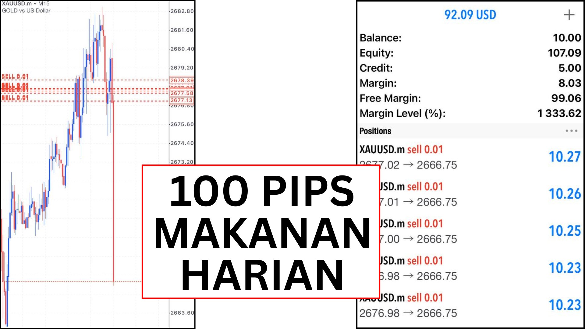 Along Gold Scalper