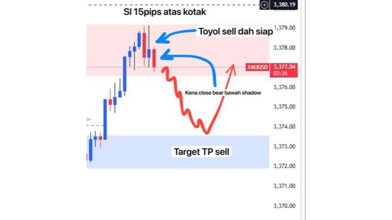 TRADER OTAI