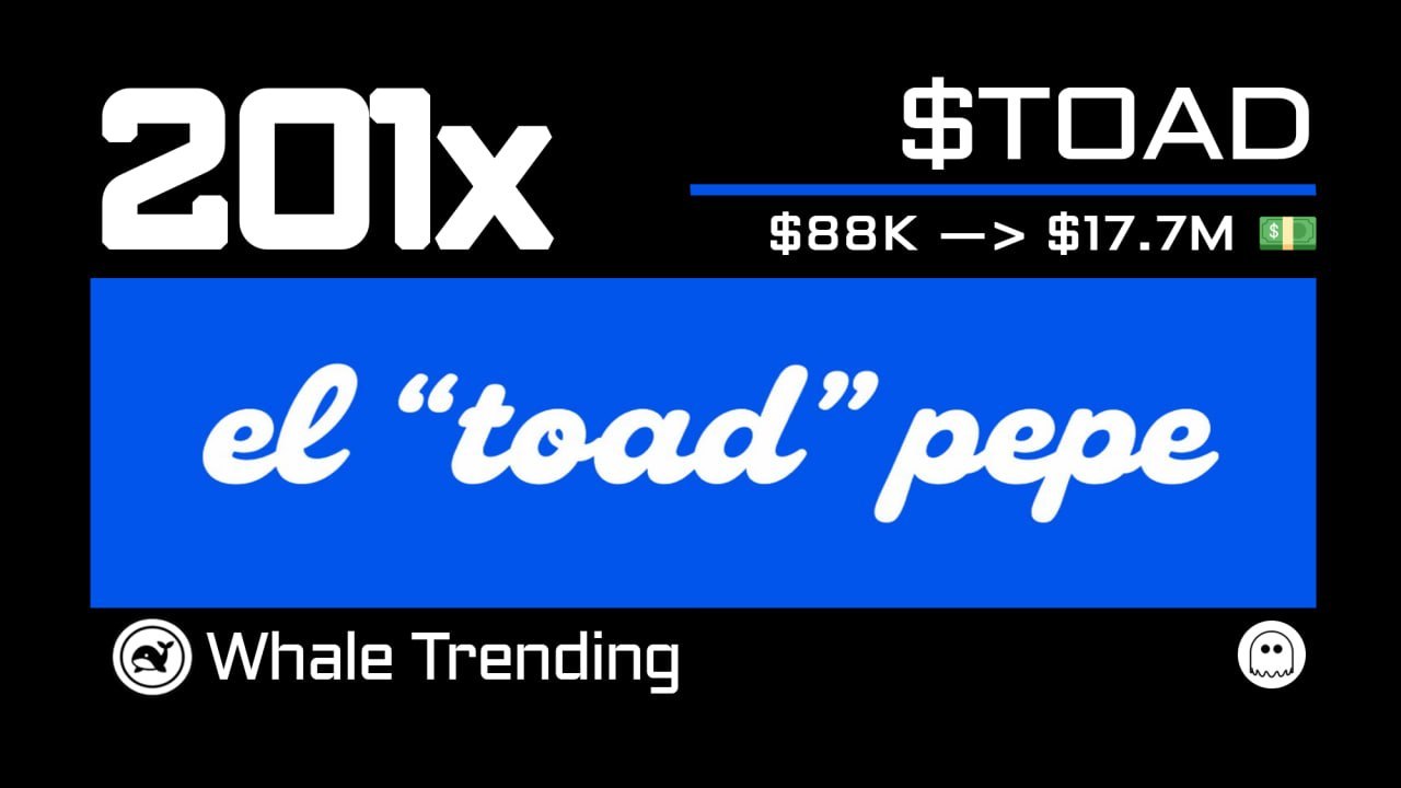 Whale Trending 🐳💵