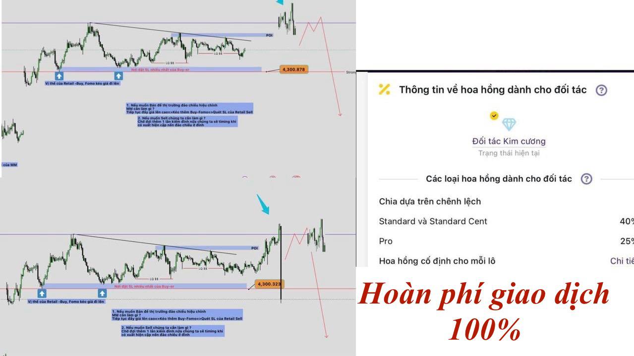 AnhBình-Forex-Signals