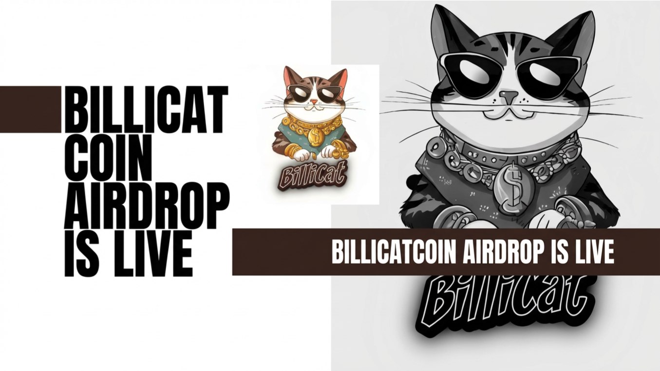 Billicatcoin ANNOUNCEMENT