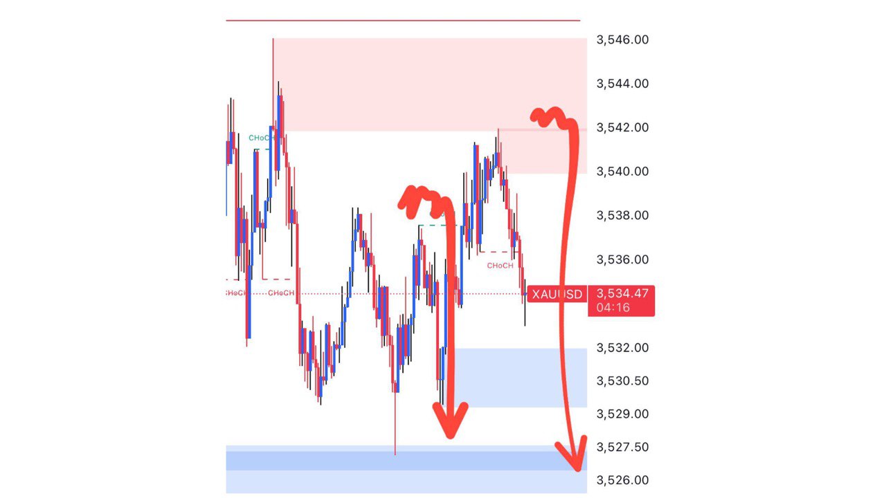 TRADER OTAI