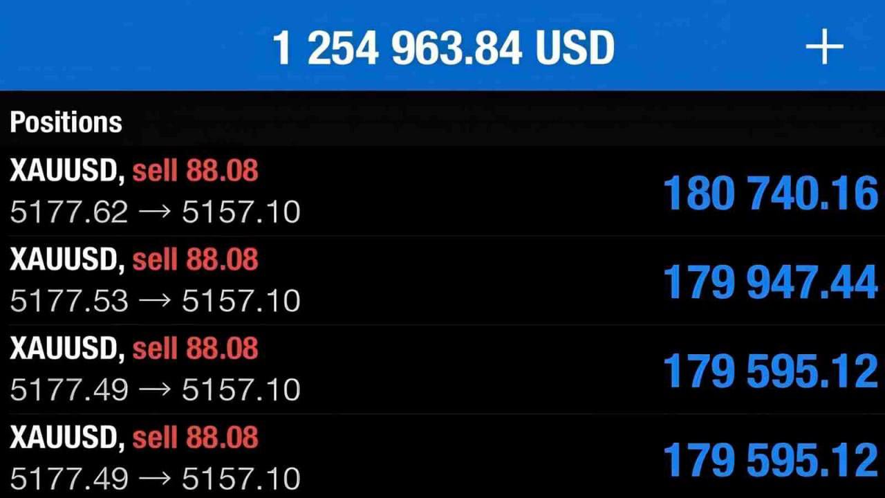 2000% Profit Club