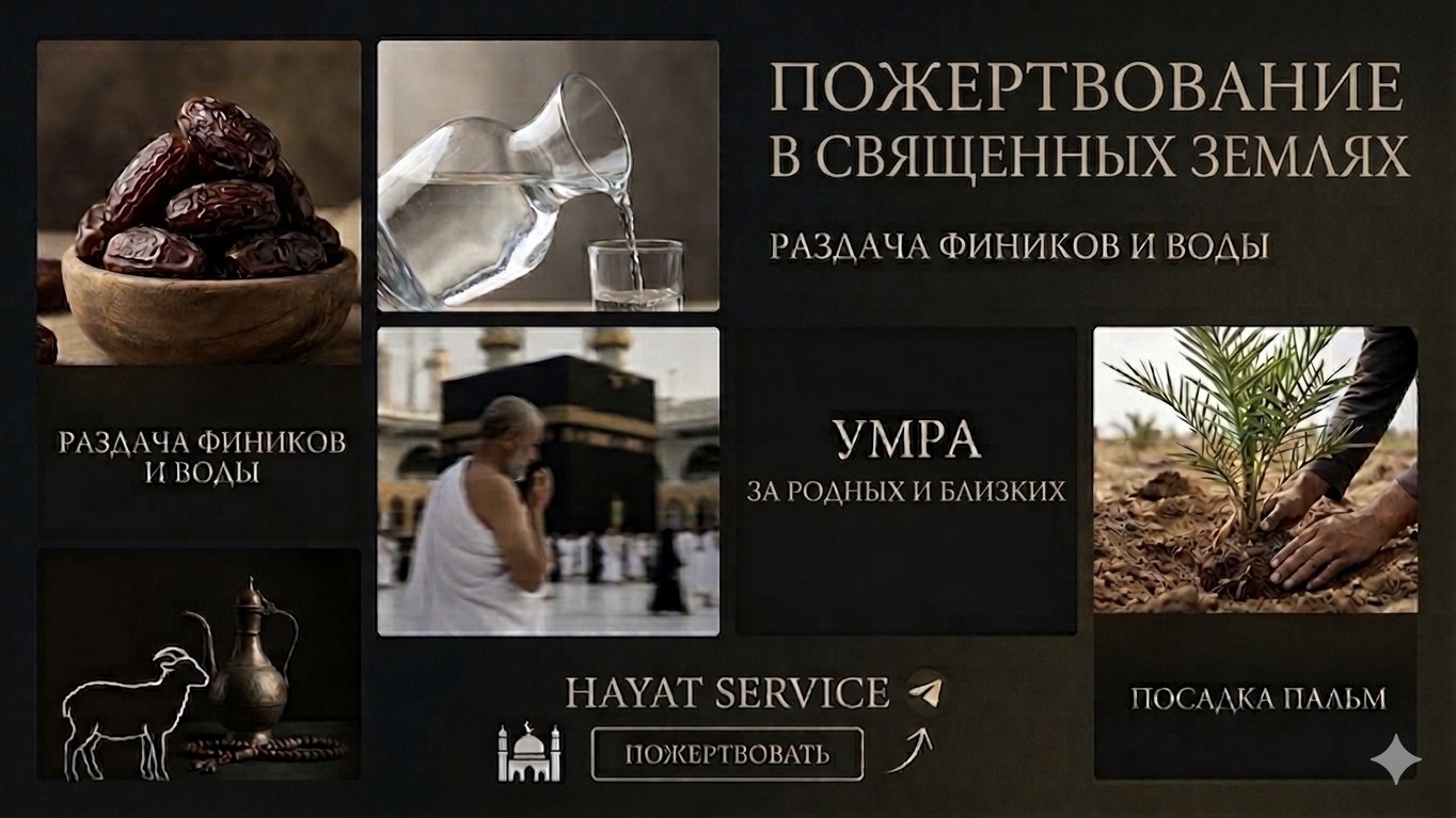 HAYAT&SERVICE