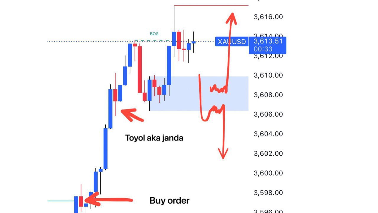 TRADER OTAI