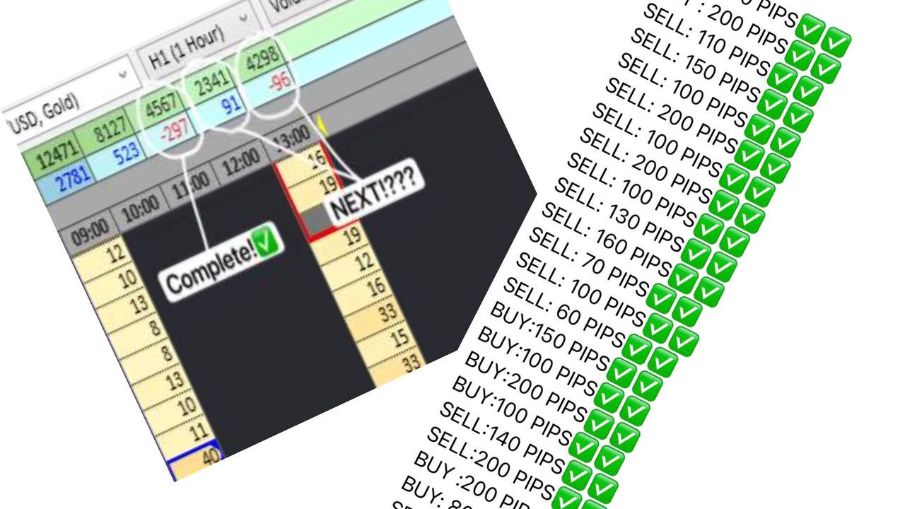 King Punya ORDERFLOW