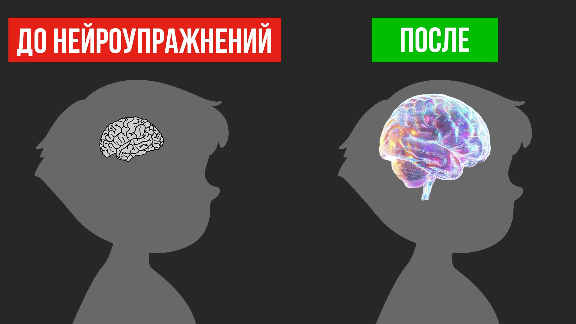 🧑‍🏫Из двоечника в отличники за лето