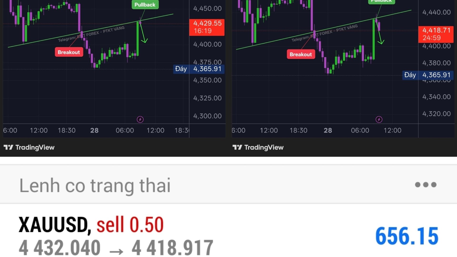 PARA FOREX CHANNEL 🇻🇳