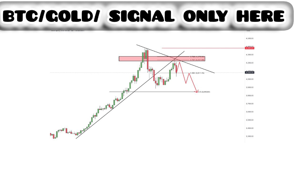 Royal FX Traders